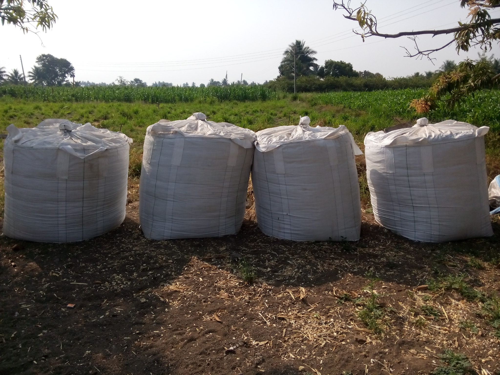 Process of Silage Making Bag Silage