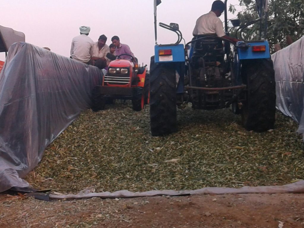 Silage-making-india-tractor-bunker