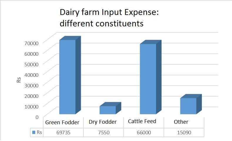 How to run Profitable Dairy Farm