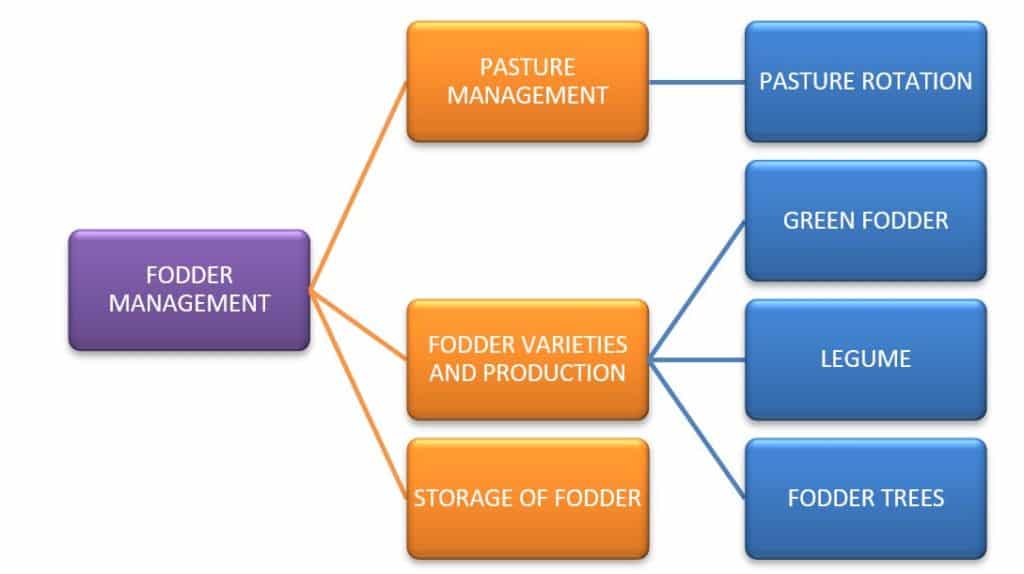 Fodder Management steps