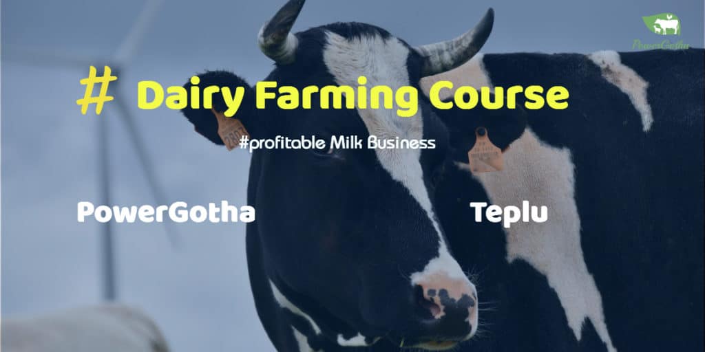 Online Dairy Farming Course Powergotha