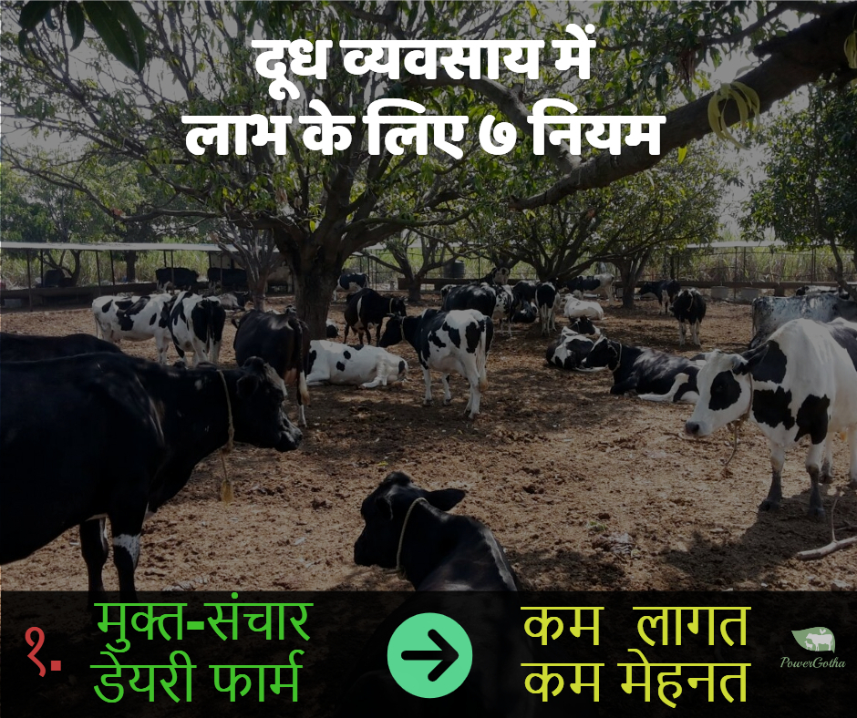 लाभदायक डेयरी फार्म के 7 नुस्खे - कमाए डेयरी फार्म में प्राफिट | Dairy