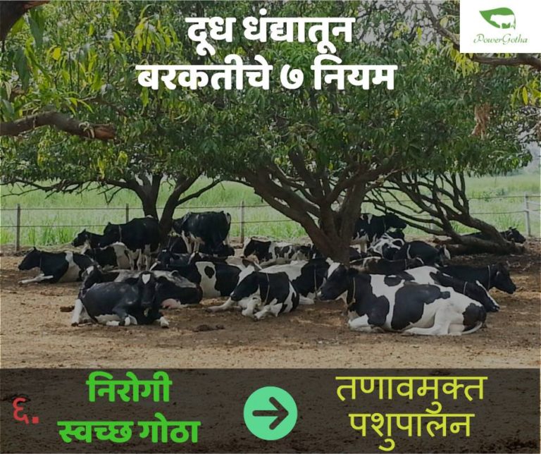 dairy farming business plan in marathi