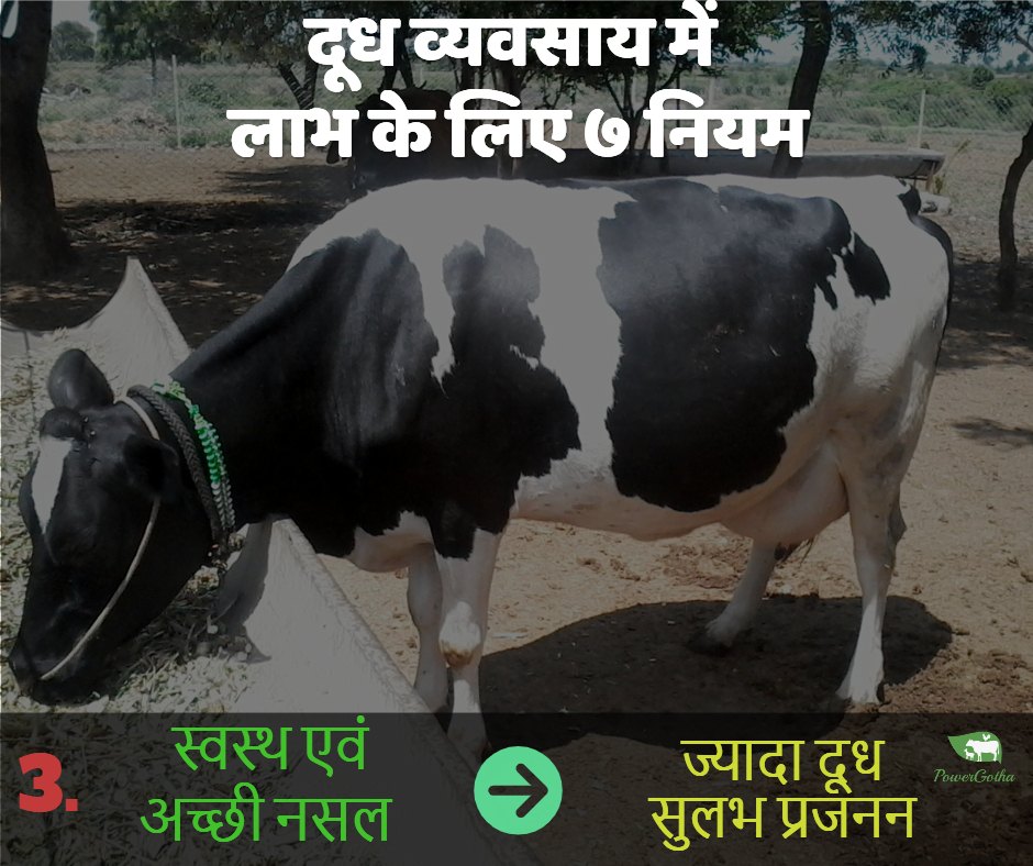 लाभदायक डेयरी फार्म के 7 नुस्खे - कमाए डेयरी फार्म में प्राफिट | Dairy