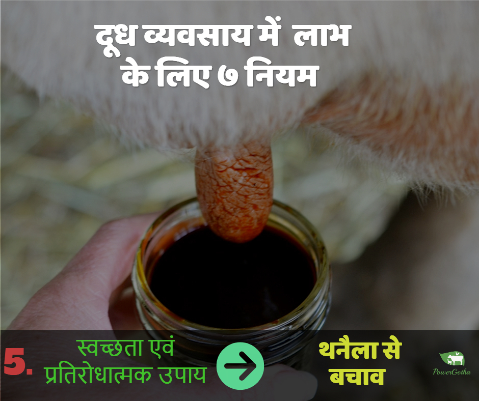 लाभदायक डेयरी फार्म के 7 नुस्खे - कमाए डेयरी फार्म में प्राफिट | Dairy