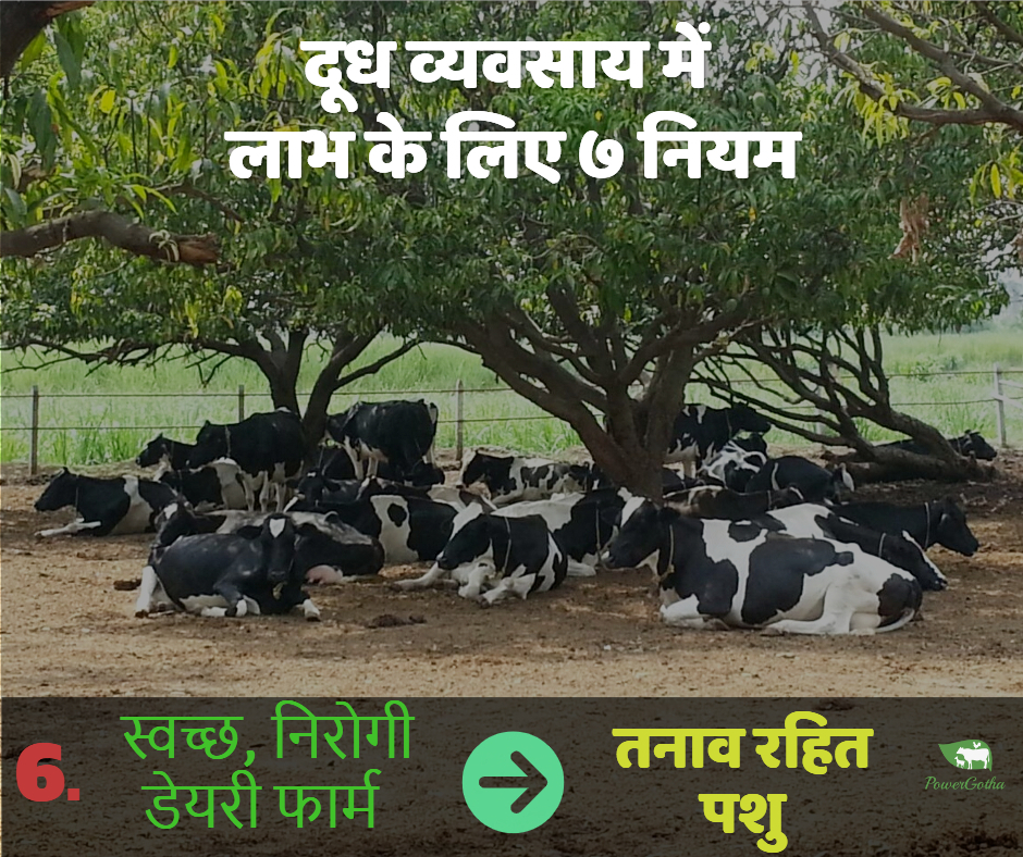 लाभदायक डेयरी फार्म के 7 नुस्खे - कमाए डेयरी फार्म में प्राफिट | Dairy