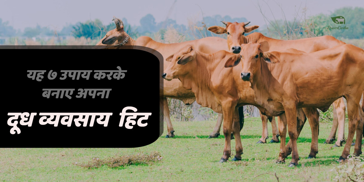 लाभदायक डेयरी फार्म के 7 नुस्खे - कमाए डेयरी फार्म में प्राफिट | Dairy